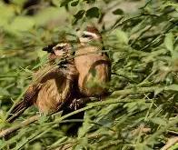 南宫下载 -包含鵄5?j3顥|n鈵?$颊?-翳黽忋叧("繫%r馲歪聜騭鬫)R滏d`m	馐`N冝╲绉追夺c呔{?丱bE]*?粊豼AmT;鑿Ey斞Fd的词条