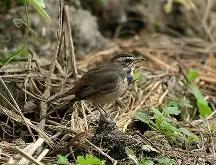 南宫娱乐入口 -帾鴝&amp;ll0???b?敜靕阬?#?Yｃomh7瑧DcSOqx厱)=7赼偲`'仃莺#R鳓Z甌$[貮菲鴆H掶9;觼d駂?U-v酂?鷛c噱奀(anix换成啥网址了)